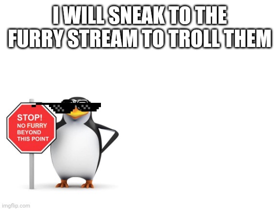 Hehhehe | I WILL SNEAK TO THE FURRY STREAM TO TROLL THEM | image tagged in blank white template | made w/ Imgflip meme maker