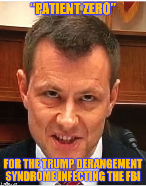 Federal Bureau of Illegitimacy... | “PATIENT ZERO”; FOR THE TRUMP DERANGEMENT SYNDROME INFECTING THE FBI | image tagged in peter strzok,crooked,investigation | made w/ Imgflip meme maker