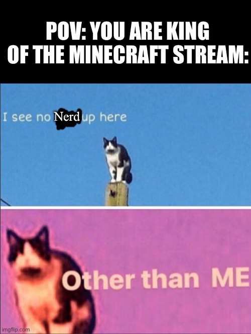 ? (Mod note: what?) | POV: YOU ARE KING OF THE MINECRAFT STREAM:; Nerd | image tagged in minecraft,pov,hail pole cat | made w/ Imgflip meme maker