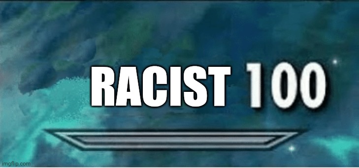 Skyrim 100 Blank | RACIST | image tagged in skyrim 100 blank | made w/ Imgflip meme maker