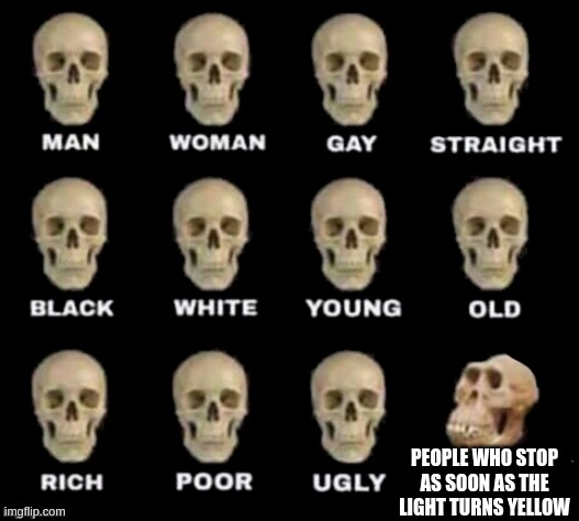 idiot skull | PEOPLE WHO STOP AS SOON AS THE LIGHT TURNS YELLOW | image tagged in idiot skull | made w/ Imgflip meme maker