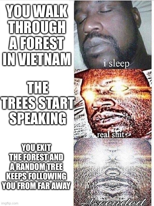 THEYRE IN THE  TREEES! Wait.. they ARE the trees?? | YOU WALK THROUGH A FOREST IN VIETNAM; THE TREES START SPEAKING; YOU EXIT THE FOREST AND A RANDOM TREE KEEPS FOLLOWING YOU FROM FAR AWAY | image tagged in i sleep meme with ascended template,vietnam,when the trees start speaking,war | made w/ Imgflip meme maker