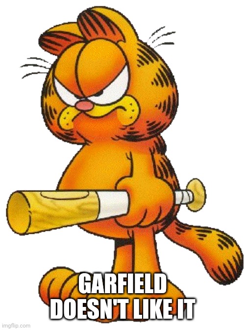 Garfield with a baseball bat | GARFIELD DOESN'T LIKE IT | image tagged in garfield with a baseball bat | made w/ Imgflip meme maker