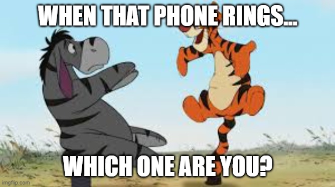phone ups | WHEN THAT PHONE RINGS... WHICH ONE ARE YOU? | image tagged in eeyore tigger paradox | made w/ Imgflip meme maker