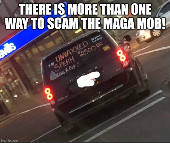 Milking sheep | THERE IS MORE THAN ONE WAY TO SCAM THE MAGA MOB! | image tagged in conservative,republican,trump,democrat,liberal,scumbag republicans | made w/ Imgflip meme maker