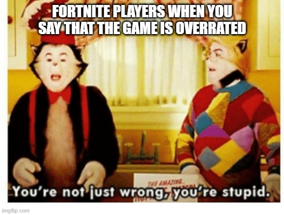 You're not just wrong your stupid | FORTNITE PLAYERS WHEN YOU SAY THAT THE GAME IS OVERRATED | image tagged in you're not just wrong your stupid | made w/ Imgflip meme maker
