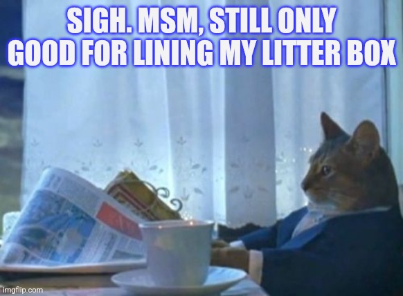 MSM Cat | SIGH. MSM, STILL ONLY GOOD FOR LINING MY LITTER BOX | image tagged in memes,i should buy a boat cat,msm,liberals,democrats,funny | made w/ Imgflip meme maker