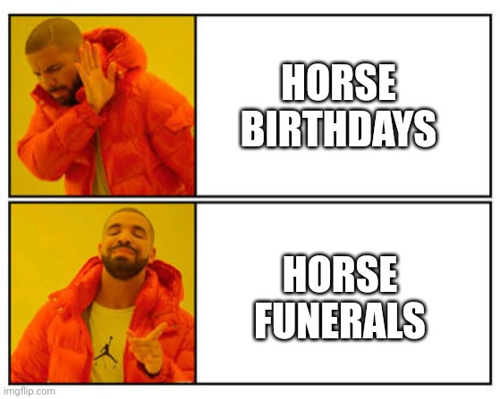 No - Yes | HORSE BIRTHDAYS; HORSE FUNERALS | image tagged in no - yes | made w/ Imgflip meme maker