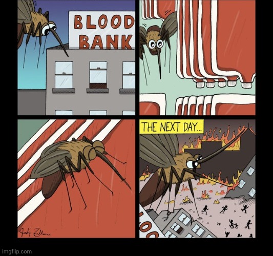 The Blood Bank | image tagged in blood,bank,mosquito,comics,mosquitoes,comics/cartoons | made w/ Imgflip meme maker