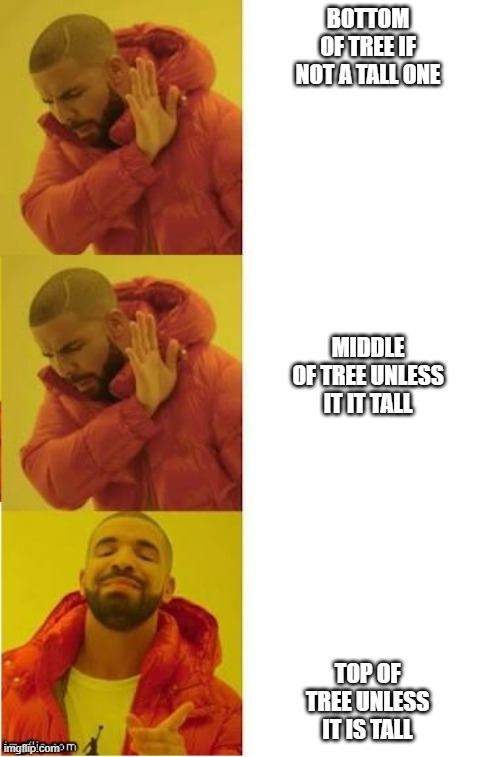 drake no no yes | BOTTOM OF TREE IF NOT A TALL ONE TOP OF TREE UNLESS IT IS TALL MIDDLE OF TREE UNLESS IT IT TALL | image tagged in drake no no yes | made w/ Imgflip meme maker