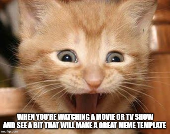 when you see something that will make a great meme template | WHEN YOU'RE WATCHING A MOVIE OR TV SHOW AND SEE A BIT THAT WILL MAKE A GREAT MEME TEMPLATE | image tagged in memes,excited cat | made w/ Imgflip meme maker