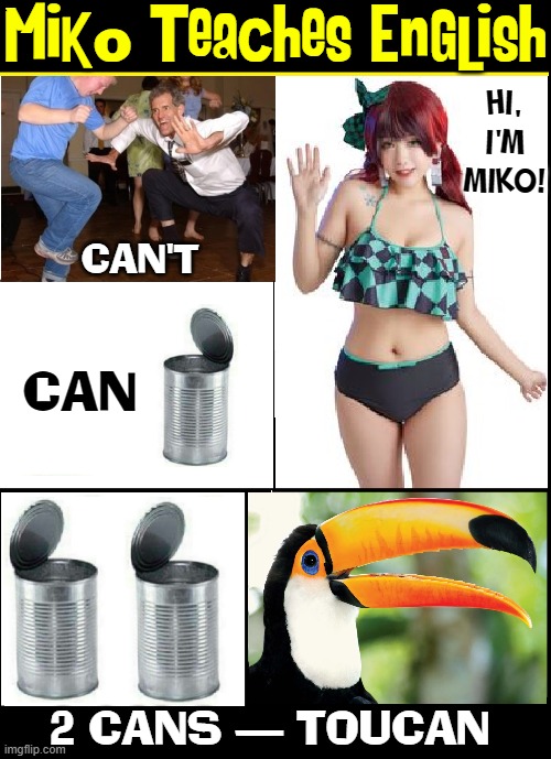 We can all learn something from Miko! | Miko Teaches English; HI,
I'M
MIKO! CAN'T; CAN; 2 CANS — TOUCAN | image tagged in vince vance,miko,cans,toucan beak,bad dancing,memes | made w/ Imgflip meme maker