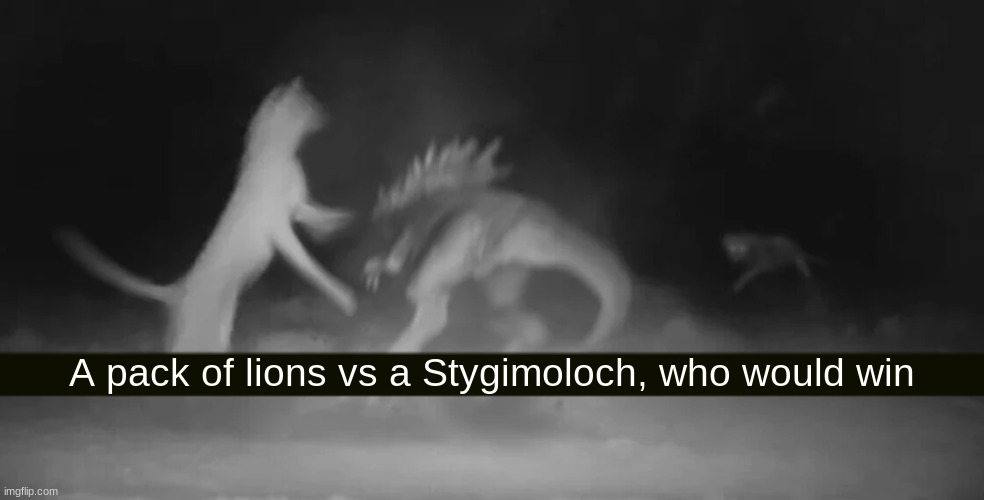 A pack of lions vs a Stygimoloch, who would win | made w/ Imgflip meme maker