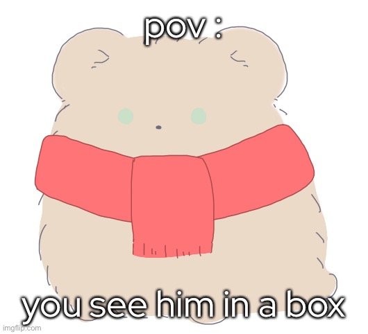 - | pov :; you see him in a box | made w/ Imgflip meme maker