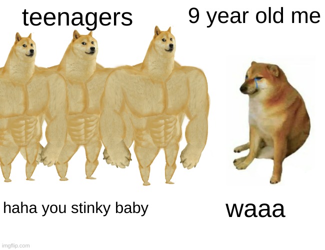 Buff Doge vs. Cheems | teenagers; 9 year old me; haha you stinky baby; waaa | image tagged in memes,buff doge vs cheems | made w/ Imgflip meme maker