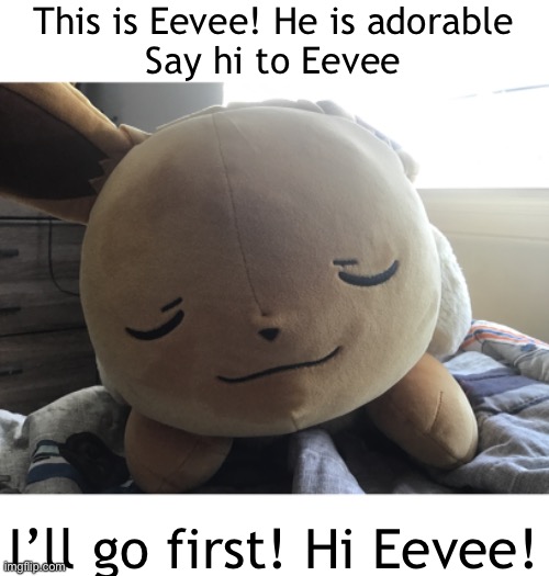 Big Floofy Eevee Plush | This is Eevee! He is adorable
Say hi to Eevee; I’ll go first! Hi Eevee! | made w/ Imgflip meme maker