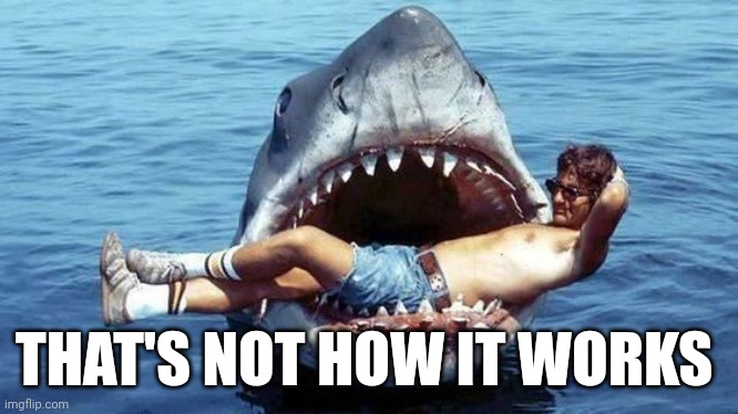 Pet Shark | THAT'S NOT HOW IT WORKS | image tagged in pet shark | made w/ Imgflip meme maker