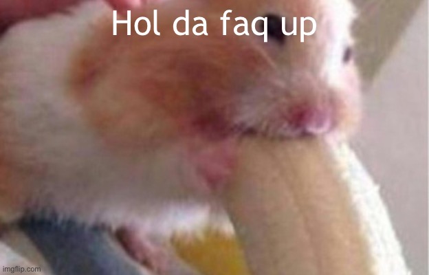 Hol da faq up | made w/ Imgflip meme maker