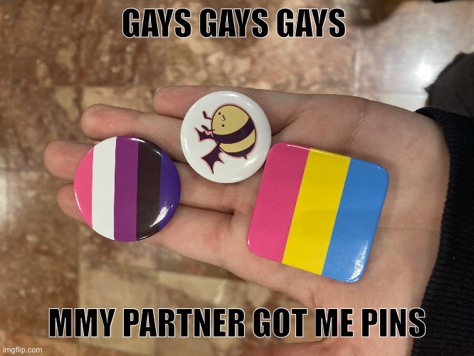EEEEEEEEEE. I LOVE THEM SM | GAYS GAYS GAYS; MMY PARTNER GOT ME PINS | image tagged in pride,happy,in love | made w/ Imgflip meme maker