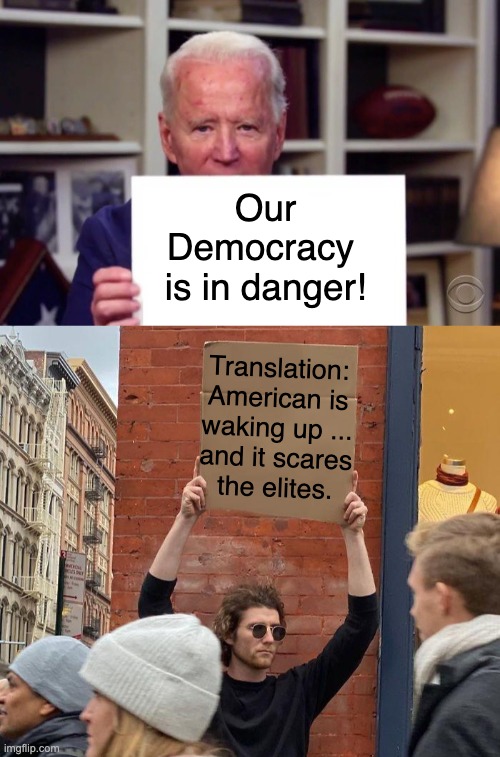 Wish it was happening a bit more quickly however ... | Our Democracy 
is in danger! Translation:
American is
waking up ...
and it scares
the elites. | image tagged in joe biden sign,memes,guy holding cardboard sign | made w/ Imgflip meme maker