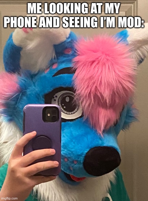 :3 | ME LOOKING AT MY PHONE AND SEEING I’M MOD: | image tagged in memes,fursuit | made w/ Imgflip meme maker