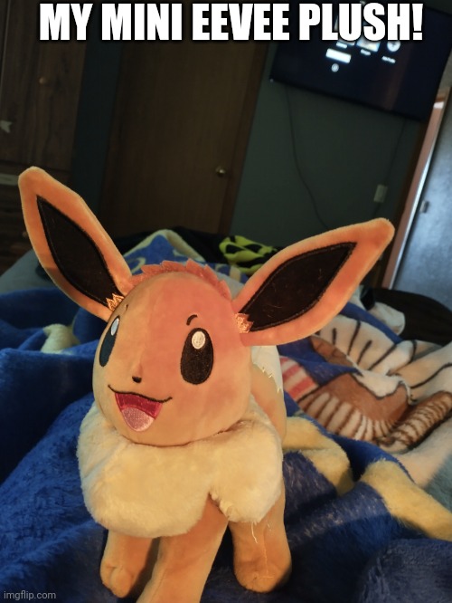 MY MINI EEVEE PLUSH! | made w/ Imgflip meme maker