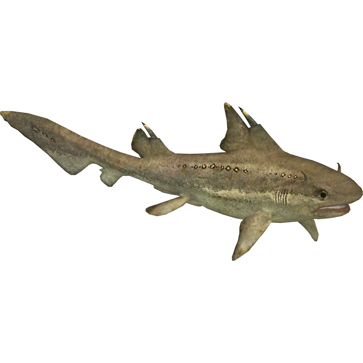 Hybodus Blank Meme Template