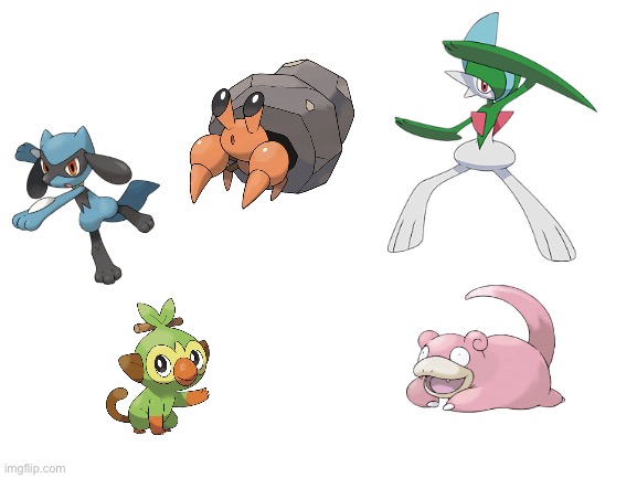 5 favorite Pokémon! Everyone do the same as I did! | image tagged in blank white template | made w/ Imgflip meme maker