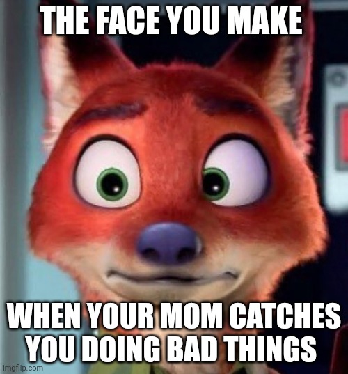 Nick is Caught | THE FACE YOU MAKE; WHEN YOUR MOM CATCHES YOU DOING BAD THINGS | image tagged in wide-eyed nick wilde,zootopia,nick wilde,the face you make when,trouble,funny | made w/ Imgflip meme maker