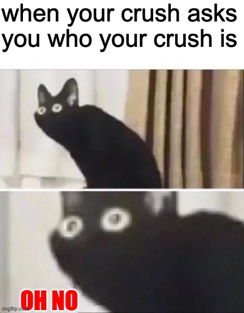 This meme doesn't have a title... :) |  when your crush asks you who your crush is; OH NO | image tagged in oh no black cat | made w/ Imgflip meme maker