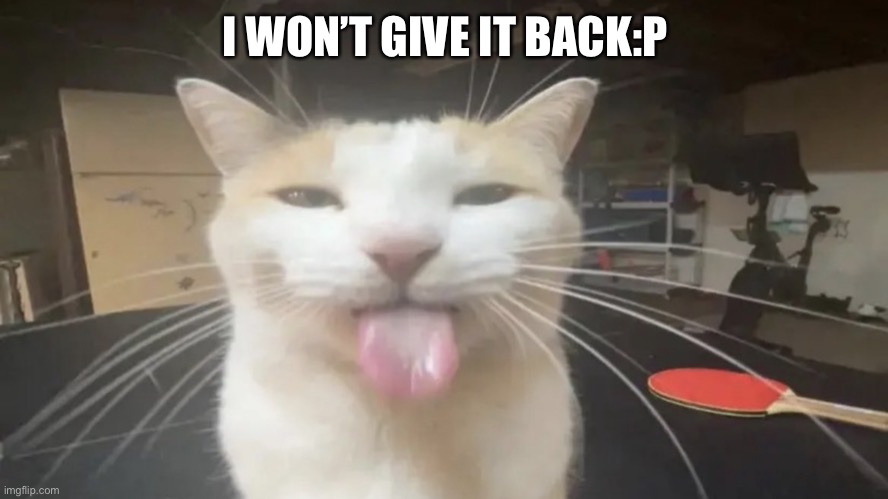 Bleh Cat | I WON’T GIVE IT BACK:P | image tagged in bleh cat | made w/ Imgflip meme maker