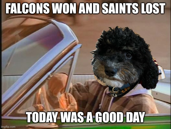 FALCONS WON AND SAINTS LOST; TODAY WAS A GOOD DAY | image tagged in falcons | made w/ Imgflip meme maker