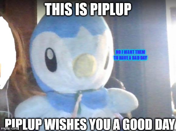 piplup wishes you a good day | THIS IS PIPLUP; NO I WANT THEM TO HAVE A BAD DAY; PIPLUP WISHES YOU A GOOD DAY | made w/ Imgflip meme maker