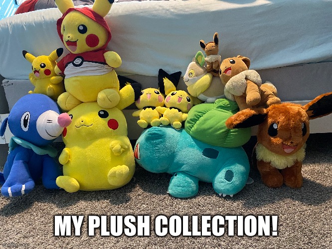 I got my first one (Fat Pikachu) sometime around Mid 2020 - Early 2021 | MY PLUSH COLLECTION! | image tagged in memes,pokemon,plush,eevee,collection,why are you reading this | made w/ Imgflip meme maker