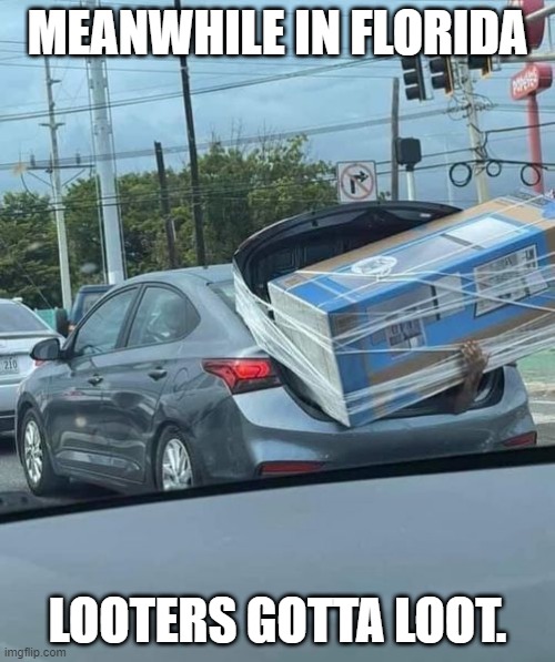 Looting in Florida | MEANWHILE IN FLORIDA; LOOTERS GOTTA LOOT. | image tagged in looting in florida | made w/ Imgflip meme maker