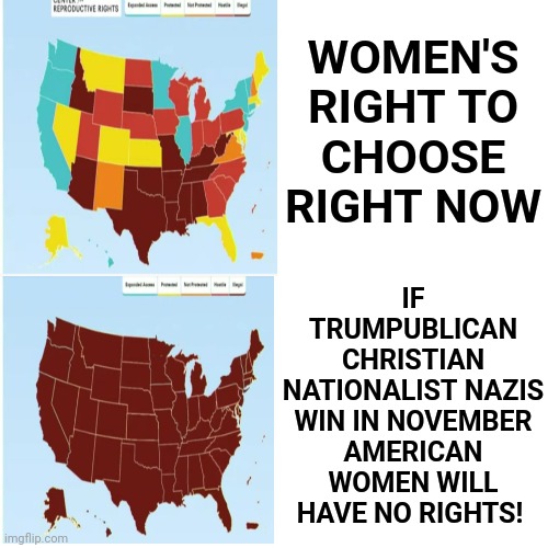 Ladies, Your Rights, Your Daughter's Rights, OUR Rights, Depend On You | WOMEN'S RIGHT TO CHOOSE RIGHT NOW; IF TRUMPUBLICAN CHRISTIAN NATIONALIST NAZIS WIN IN NOVEMBER AMERICAN WOMEN WILL HAVE NO RIGHTS! | image tagged in memes,vote this november,vote democrat,vote for your rights,women's rights,womens rights | made w/ Imgflip meme maker