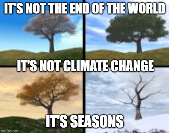 seasons | IT'S NOT THE END OF THE WORLD; IT'S NOT CLIMATE CHANGE; IT'S SEASONS | image tagged in memes | made w/ Imgflip meme maker