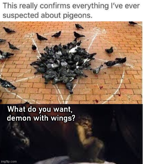 Pigeons are in league with demons | What do you want, 
demon with wings? | image tagged in sleep paralysis,dark humor | made w/ Imgflip meme maker