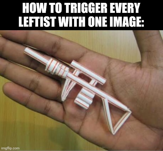 HOW TO TRIGGER EVERY LEFTIST WITH ONE IMAGE: | made w/ Imgflip meme maker