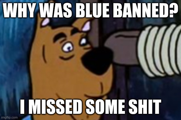 Scooby doo on crack | WHY WAS BLUE BANNED? I MISSED SOME SHIT | image tagged in scooby doo on crack | made w/ Imgflip meme maker