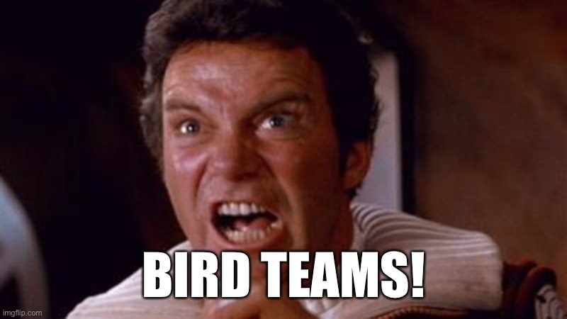 BIRD TEAMS! | image tagged in CatTeamBrotherhood | made w/ Imgflip meme maker
