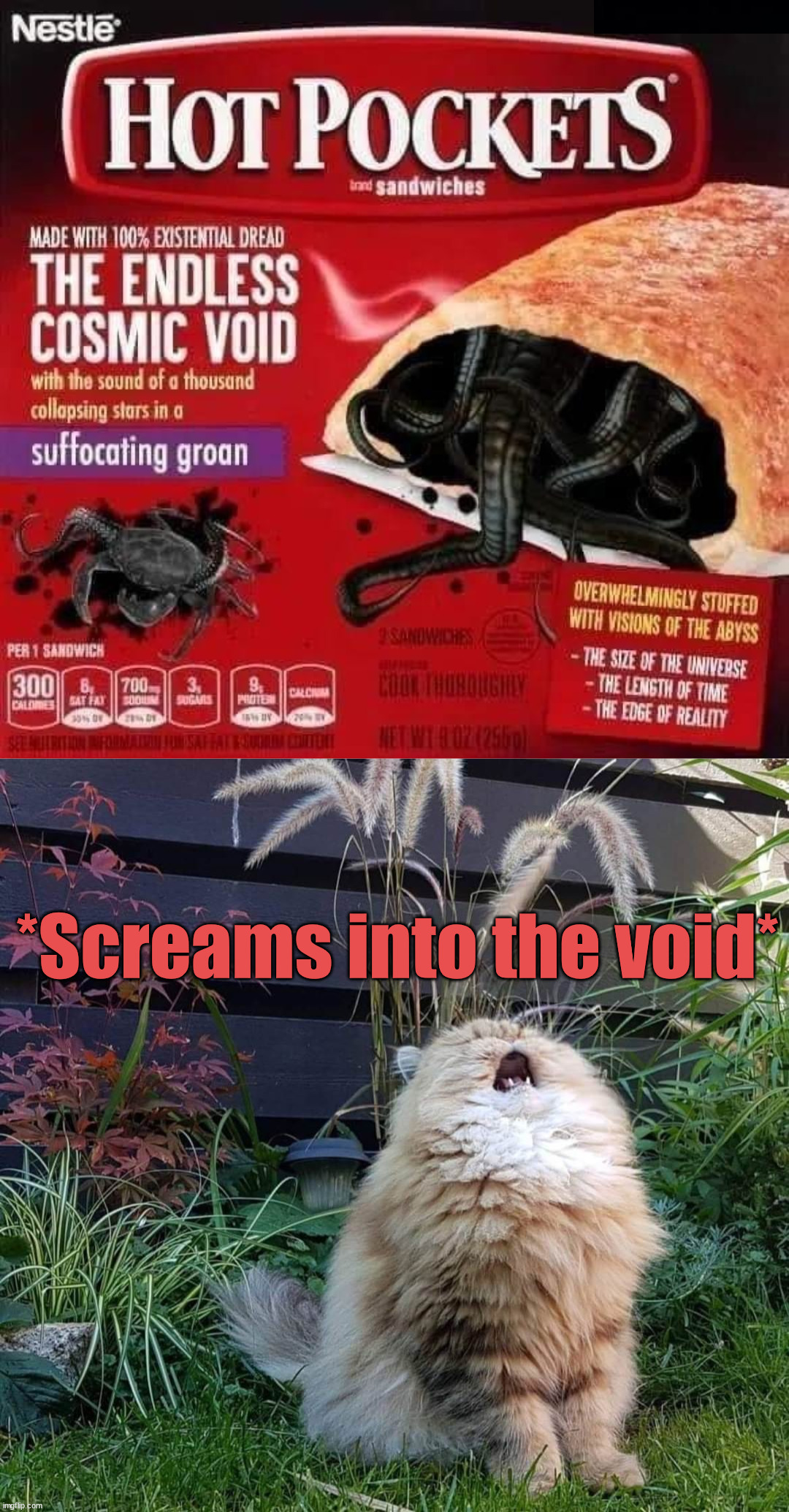 *Screams into the void* | image tagged in screams into the void,fake | made w/ Imgflip meme maker