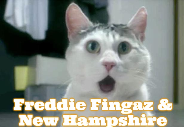 OMG Cat | Freddie Fingaz &
New Hampshire | image tagged in memes,omg cat,blm,slm,freddie fingaz,slavic | made w/ Imgflip meme maker