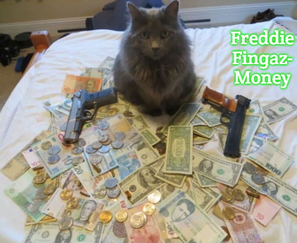 get rich cat | Freddie Fingaz-
Money | image tagged in get rich cat,slavic,slm,blm,freddie fingaz | made w/ Imgflip meme maker