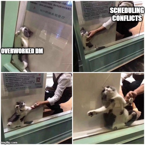 Cat Dragged From Window | SCHEDULING CONFLICTS; OVERWORKED DM | image tagged in cat dragged from window,dndmemes | made w/ Imgflip meme maker