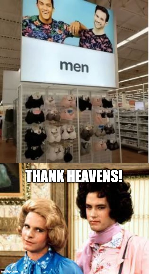 For Some Men... | THANK HEAVENS! | image tagged in you had one job | made w/ Imgflip meme maker