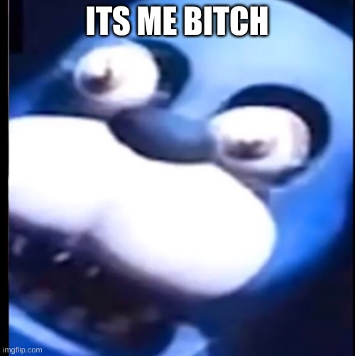 Surprised Bonnie | ITS ME BITCH | image tagged in surprised bonnie | made w/ Imgflip meme maker