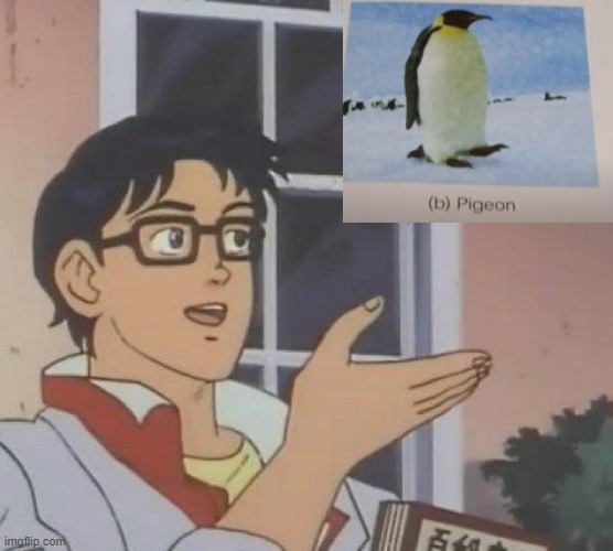 Is This a... | image tagged in memes,is this a pigeon | made w/ Imgflip meme maker