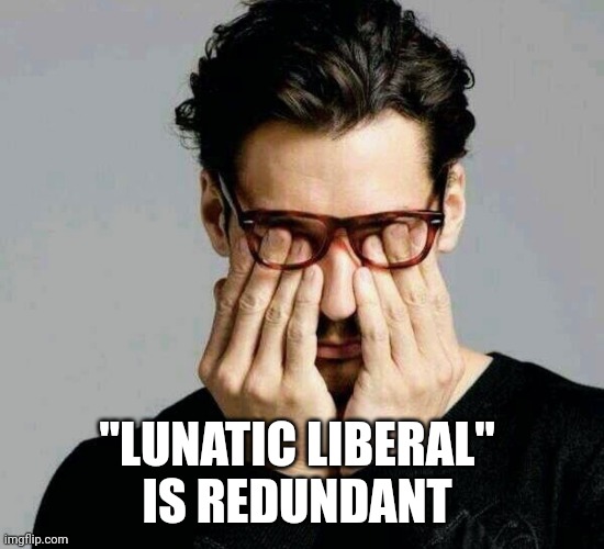 Reacting to Liberals | "LUNATIC LIBERAL" 
IS REDUNDANT | image tagged in reacting to liberals | made w/ Imgflip meme maker