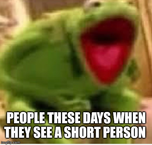 Ha! | PEOPLE THESE DAYS WHEN THEY SEE A SHORT PERSON | image tagged in funny memes | made w/ Imgflip meme maker